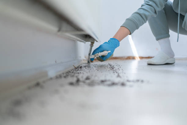 Best Emergency Pest Control  in Dresden, OH